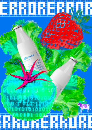 Web-camps