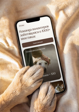 Подари хвосту дом — волонтерская организация