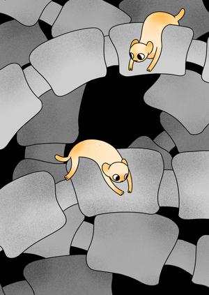 Плакаты «SPINE» — массажный салон для животных с проблемной спиной