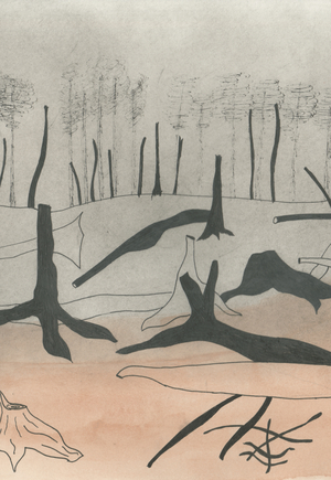 След человека