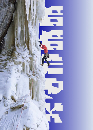 Снежный Барс