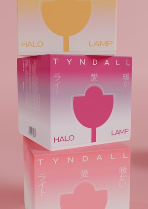 Упаковка ламп TYNDALL