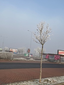 winter winter