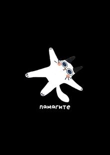 котики котики