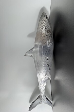 Параметрическая акула