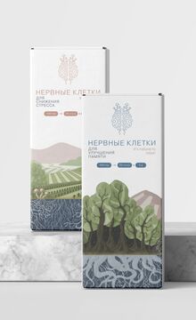 Фабрика нервных клеток МИЦЕЛИ