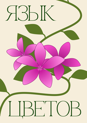 ЛОНГРИД «ЯЗЫК ЦВЕТОВ» 