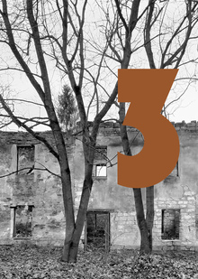 Глава 3. Яркое восстановление