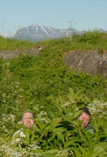 Серия «Спрятавшиеся головы», 2007