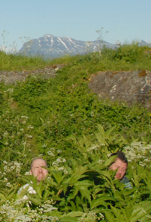Серия «Спрятавшиеся головы», 2007