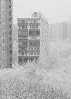 Зимняя спячка