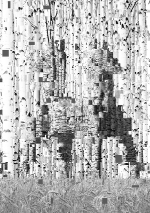ТЯНИ-ТОЛКАЙ