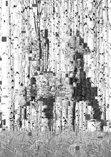 ТЯНИ-ТОЛКАЙ