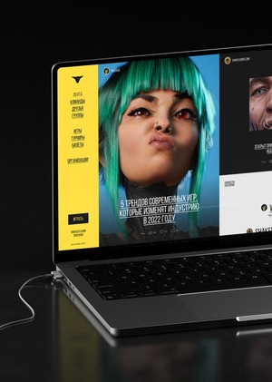 Arena Bulls. Платформа