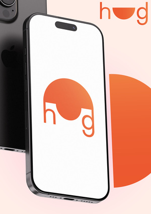 Приложение HUG