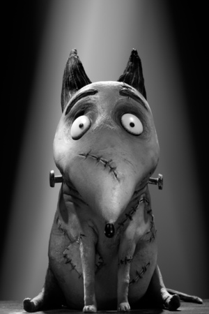 Postmodernism in Tim Burton`s Frankenweenie 