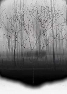 Yorgos Lanthimos: THE LOBSTER