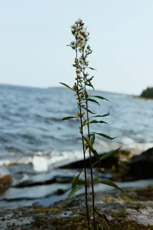 Фотосъемка для Luda Nikishina