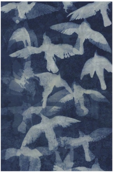 Изучение приемов цианотипии и линогравюры