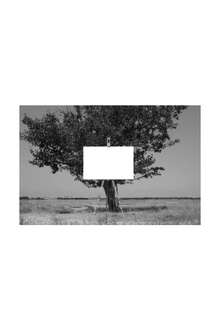 The window