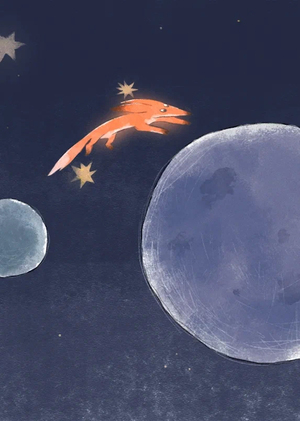 Мой Дикий Друг I Анимационные вставки в фильм