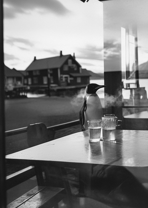 Удивительная Норвегия (недалеко от Антарктиды)