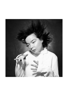 NATIONAL SOUNDS IN&nbsp;BJÖRK’S WORKS
