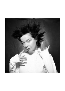 MYTHOLOGY IN&nbsp;BJÖRK’S WORKS