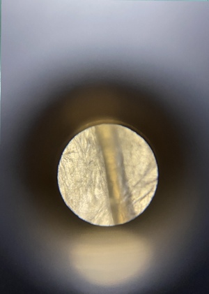 Mycocycle. Diploma in progress