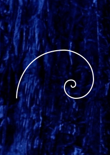 CYCLES (about Lynch’s film)