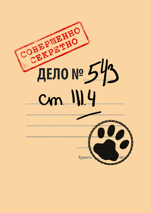 Кошачий патруль