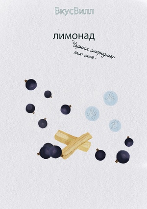 Лимонад «Чёрная смородина-Пало санто» с электролитами