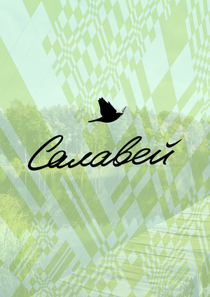 Разработка платформы бренда «САЛАВЕЙ»