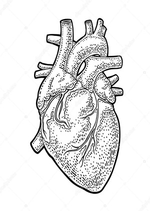 Анализ сердечных заболеваний