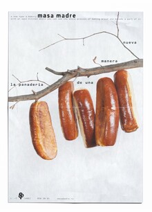 masa madre masa madre