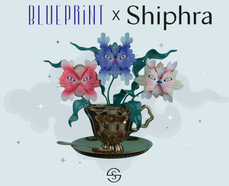 Blueprint x Shiphra