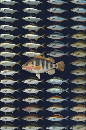 Аналитика рыбы