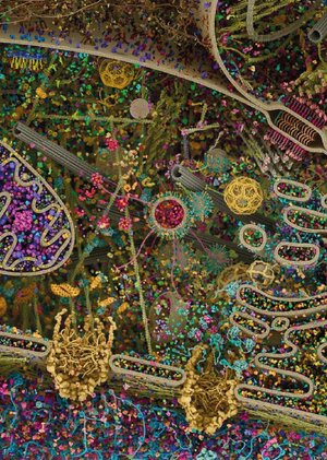 Анализ заболеваемости Covid19 по странам мира