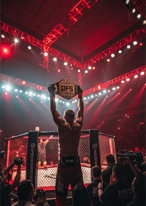 Анализ о бойцах UFC