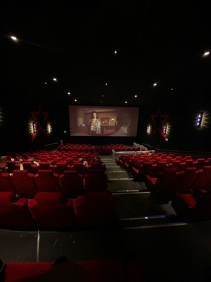 Анализ данных с Кинопоиска 