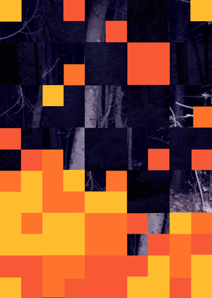 Анализ статистики лесных пожаров