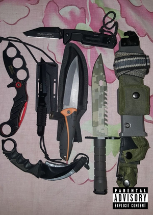 Виктимизация и этнические группы в Англии: Анализ на основе данных ONS