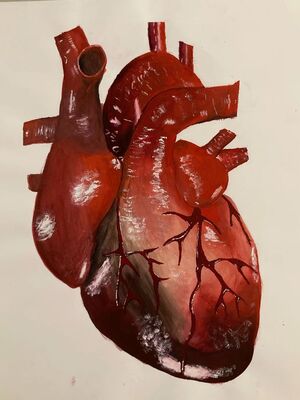 Анализ основных факторов середчно-сосудистых заболеваний