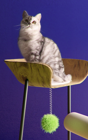 Kotechka is a cat furniture with a note of weirdness.