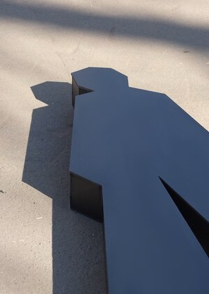 Таксидермия тени