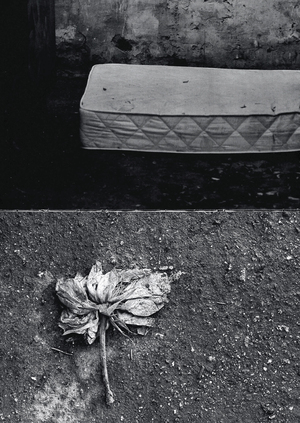 fragile/ photo series