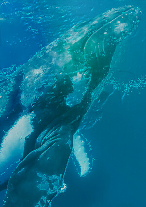 repercussion of whales