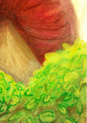 Волшебный остров