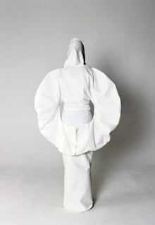 fragile armour