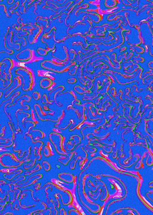 interdimensional activity